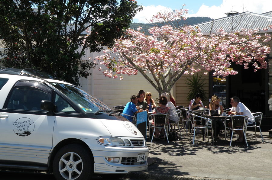 Coromandel Town