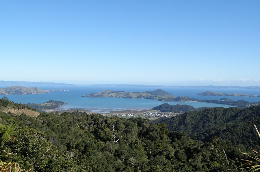 Coromandel View