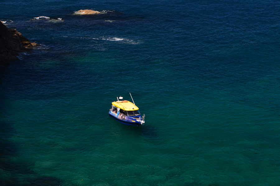 Glass Bottom Boat